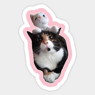 The Cat Stack - a cat with a plush cat stacked on top of it Sticker